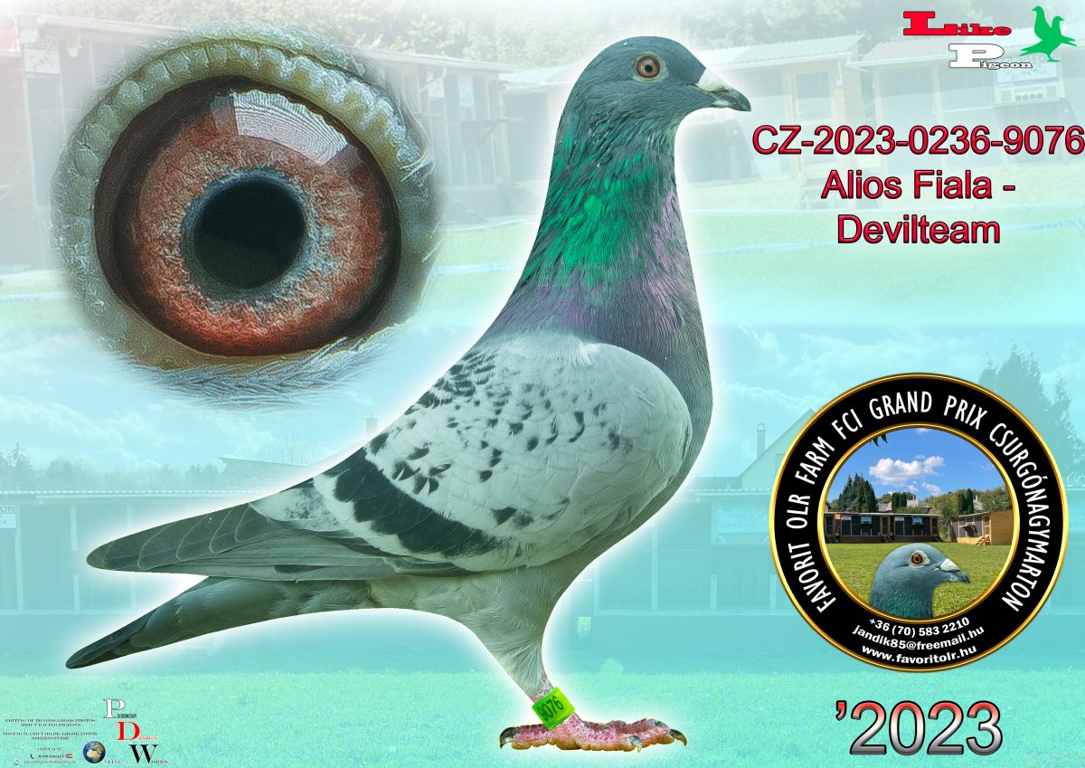 Alios Fiala - Devilteam CZ-2023-0236-9076